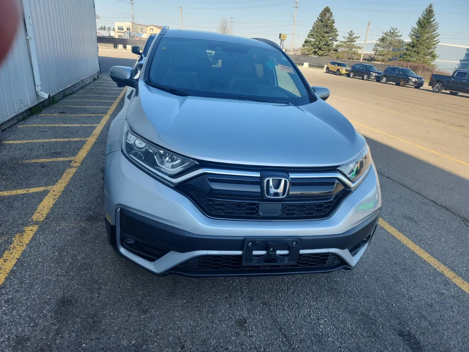 Full Front Photo