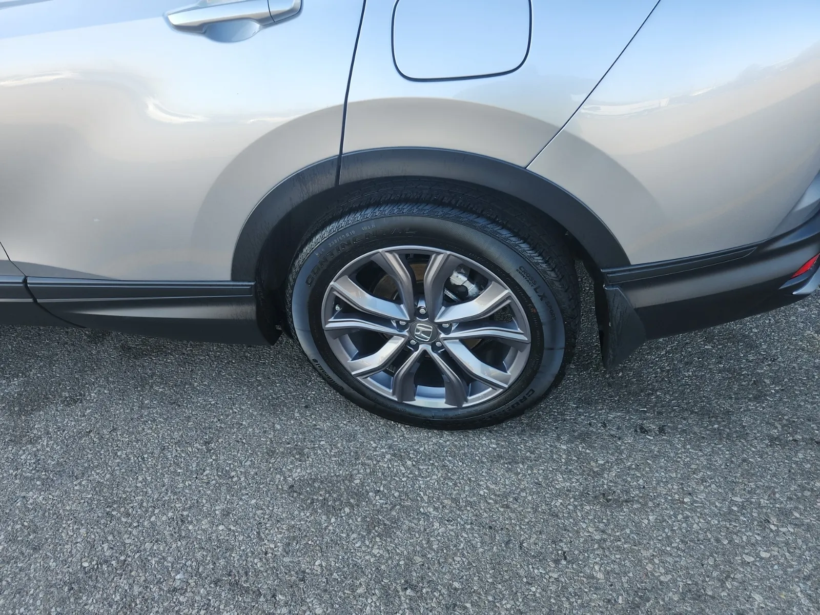 Left Rear Wheel/Tire Photo