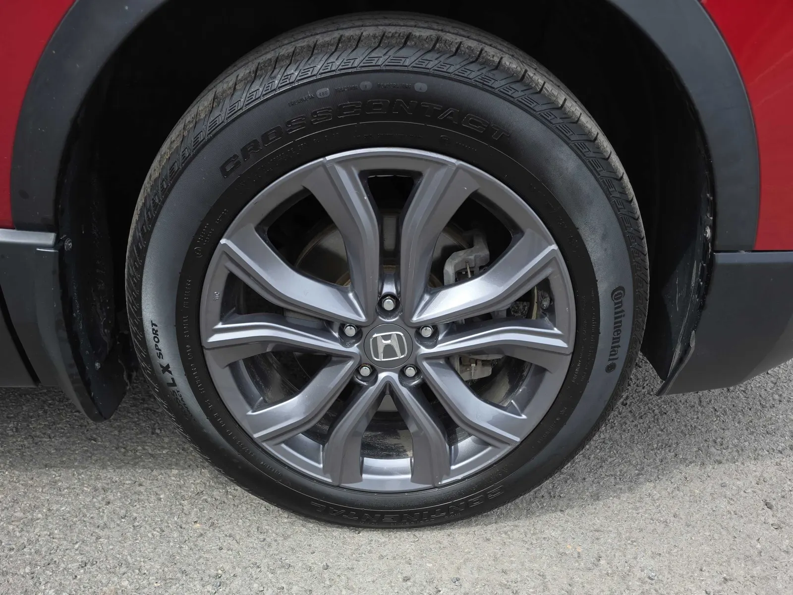 Tire