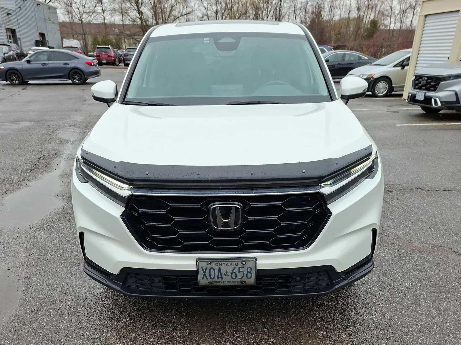 Front