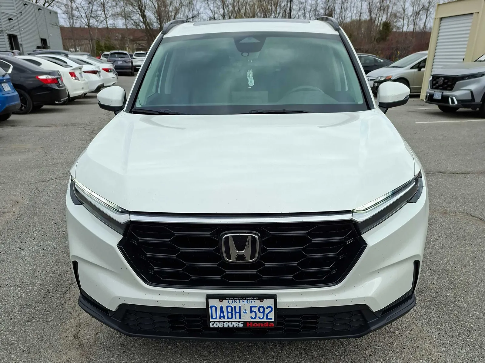 Front