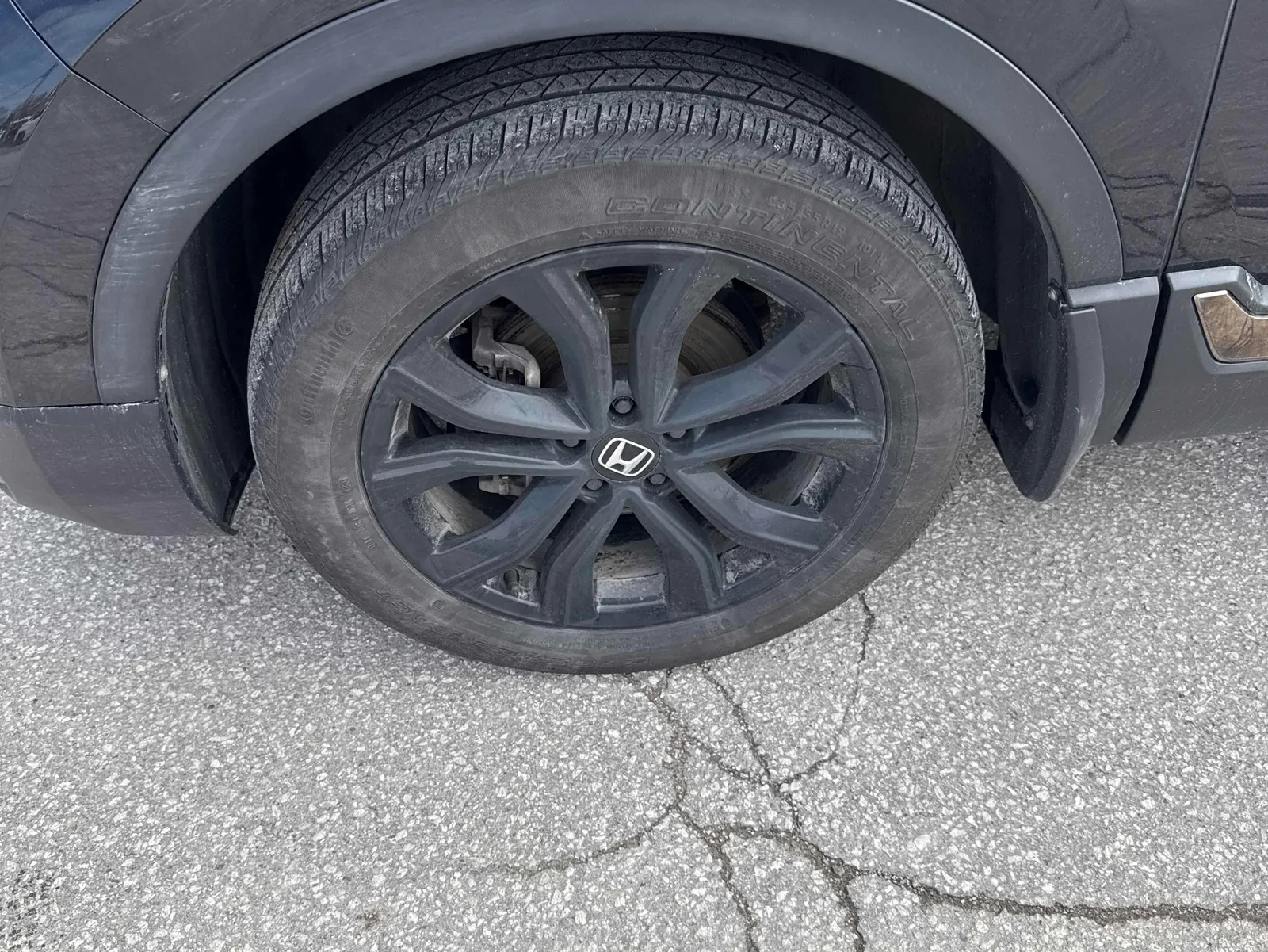 Tire