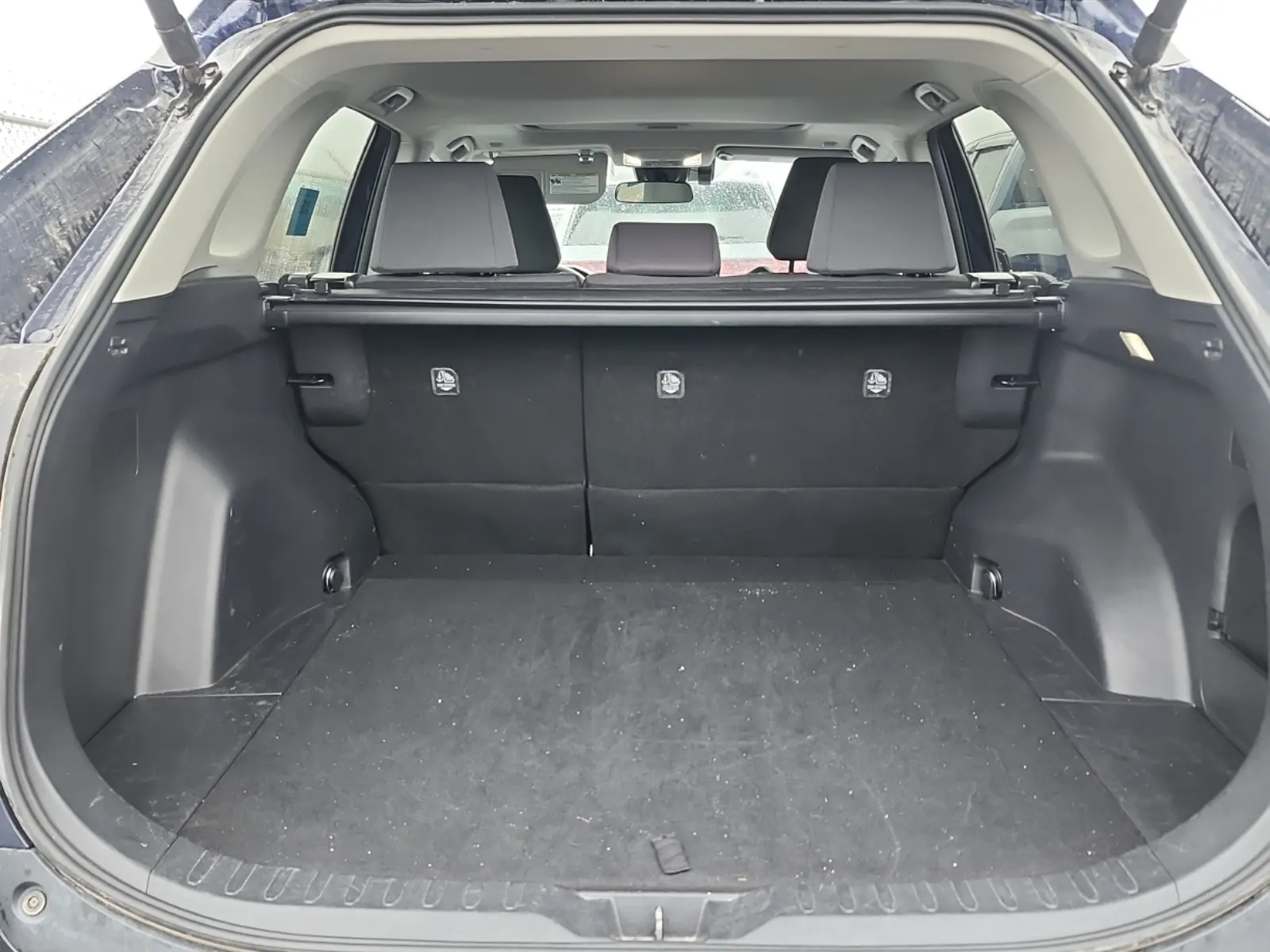Cargo Area Photo