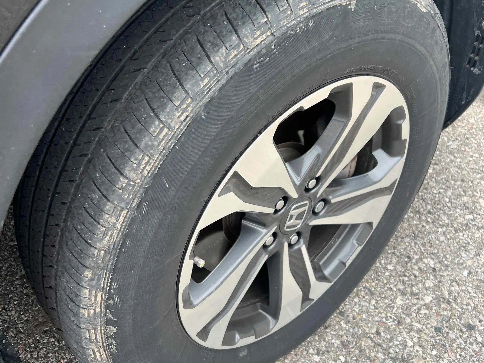 Tire