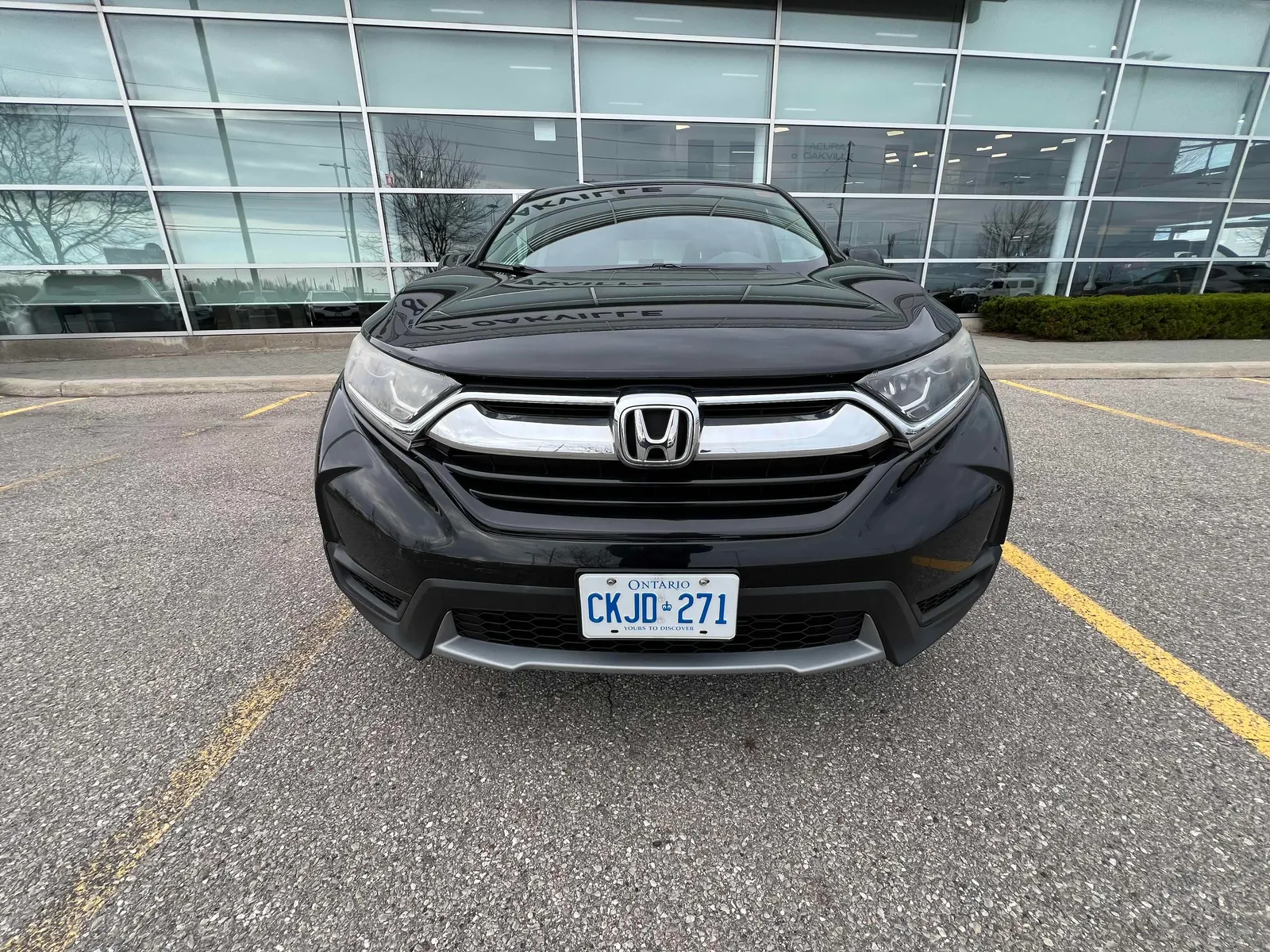 Front