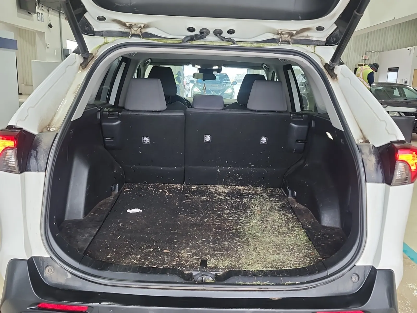 Cargo Area Photo
