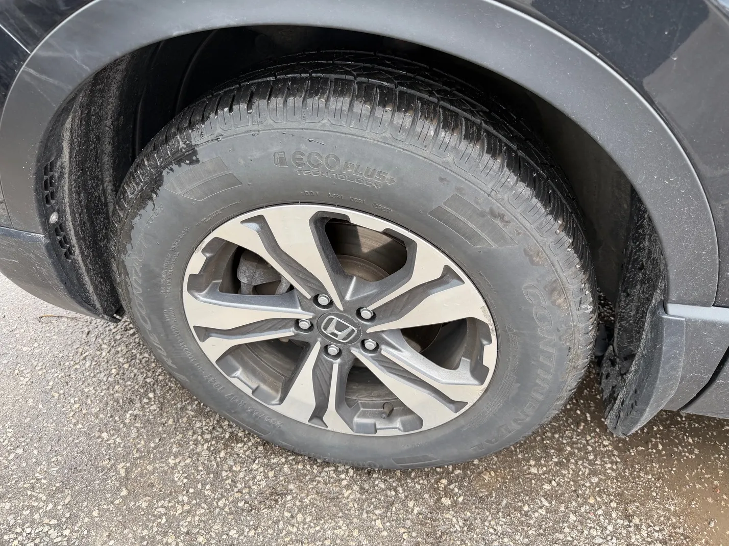 Tire