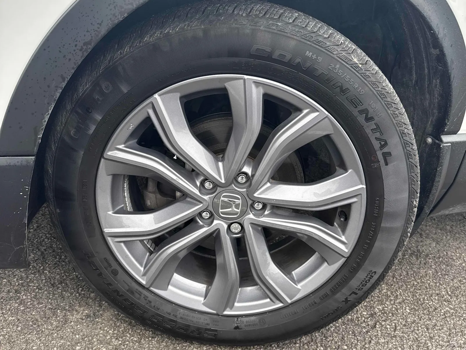 Tire