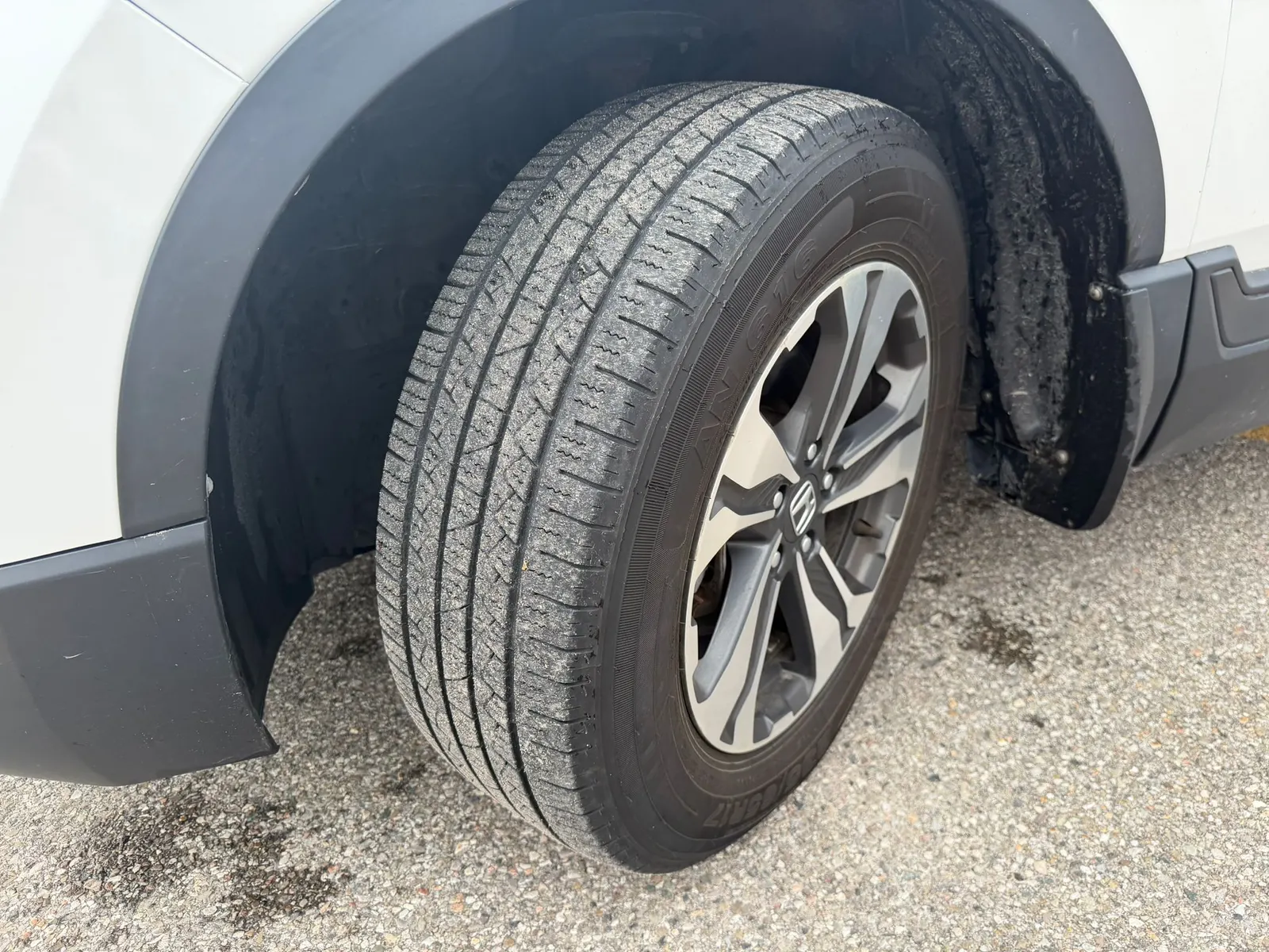 Tire