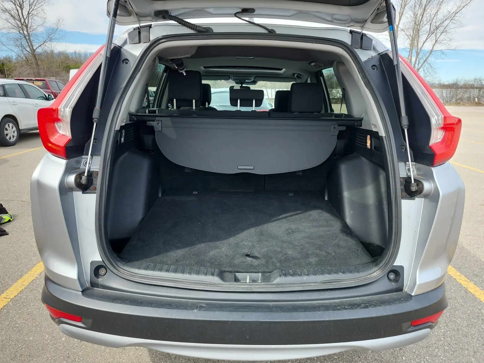 Cargo Area Photo