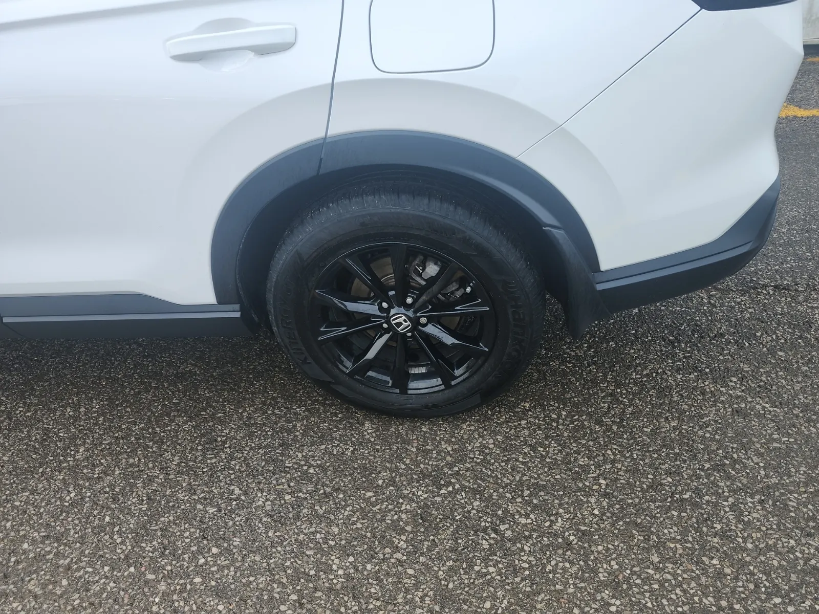 Left Rear Wheel/Tire Photo