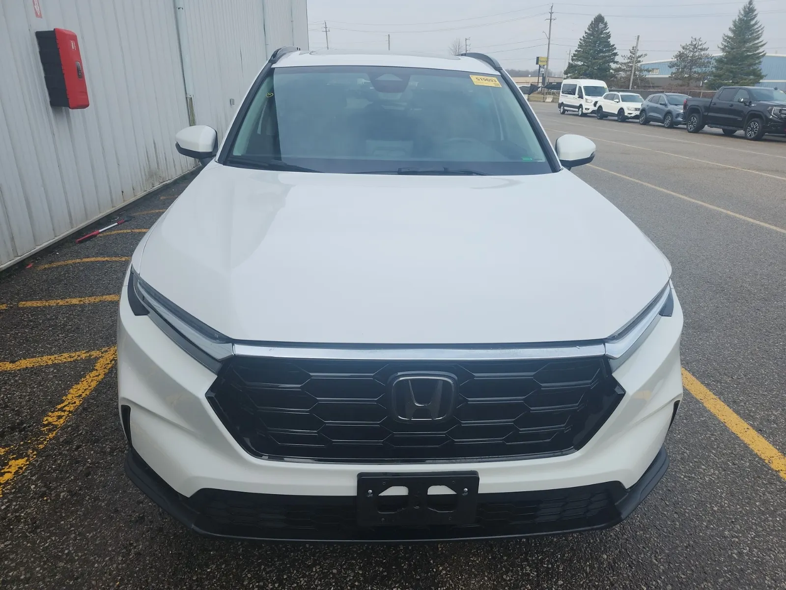 Full Front Photo