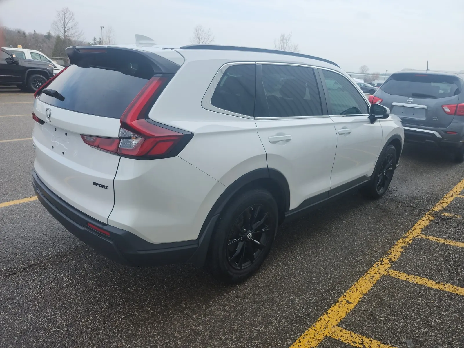 Passenger Rear 3/4 Photo