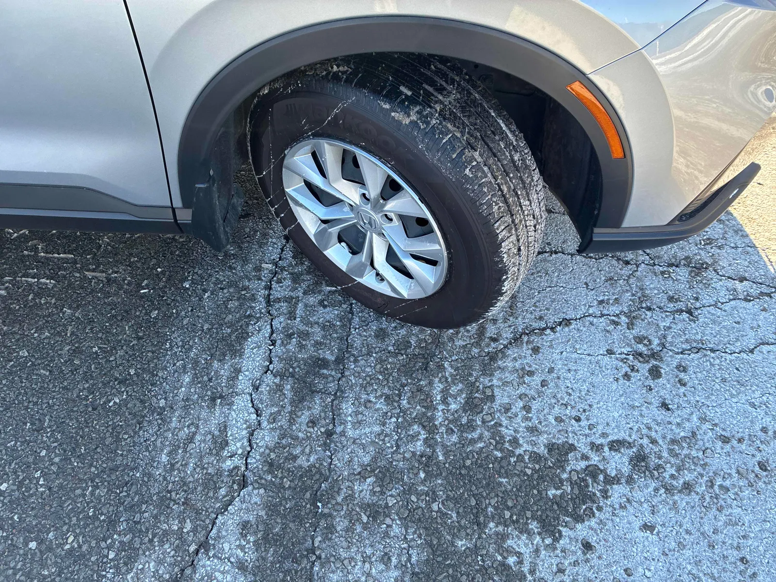 Tire