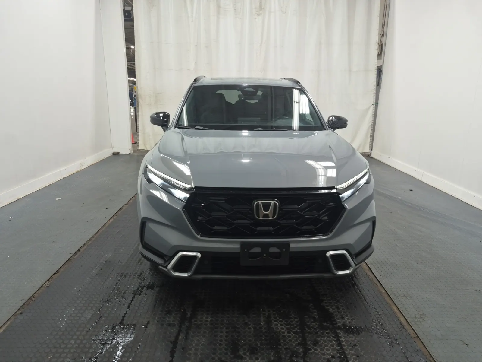 Full Front Photo