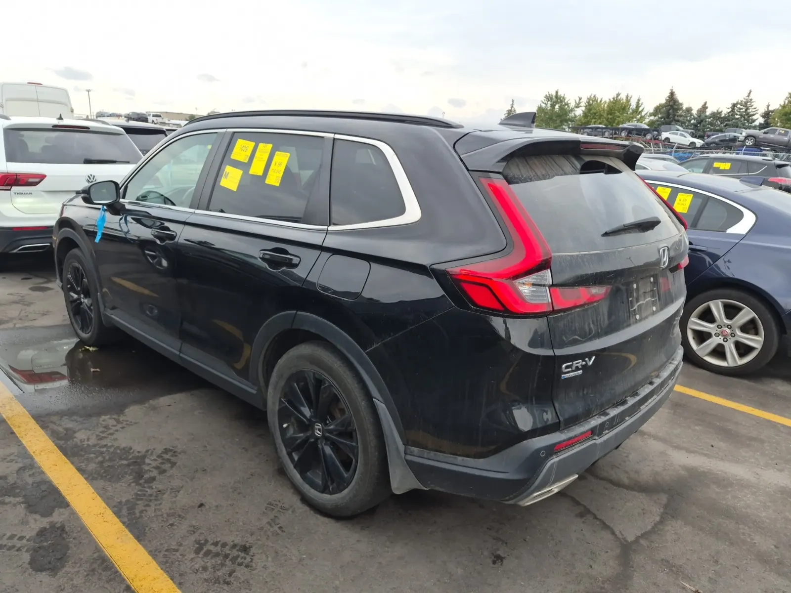 Driver Rear 3/4 Photo
