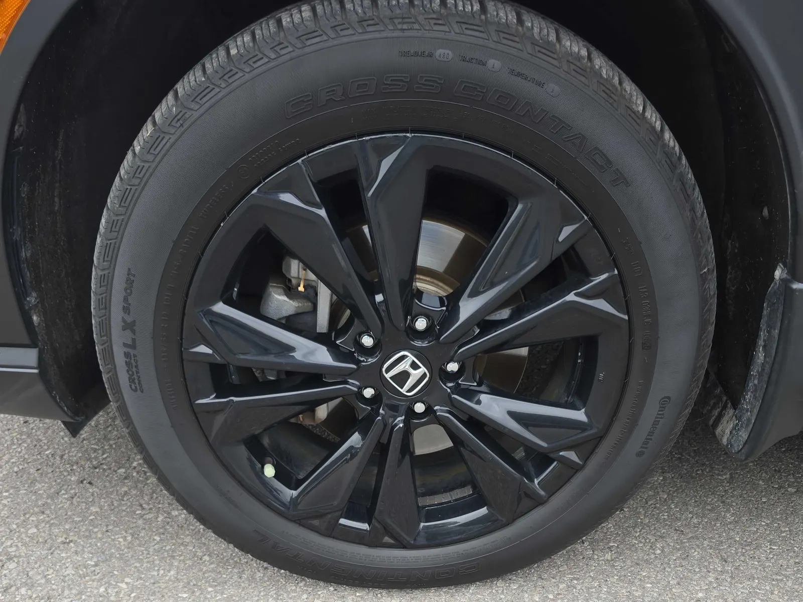 Tire