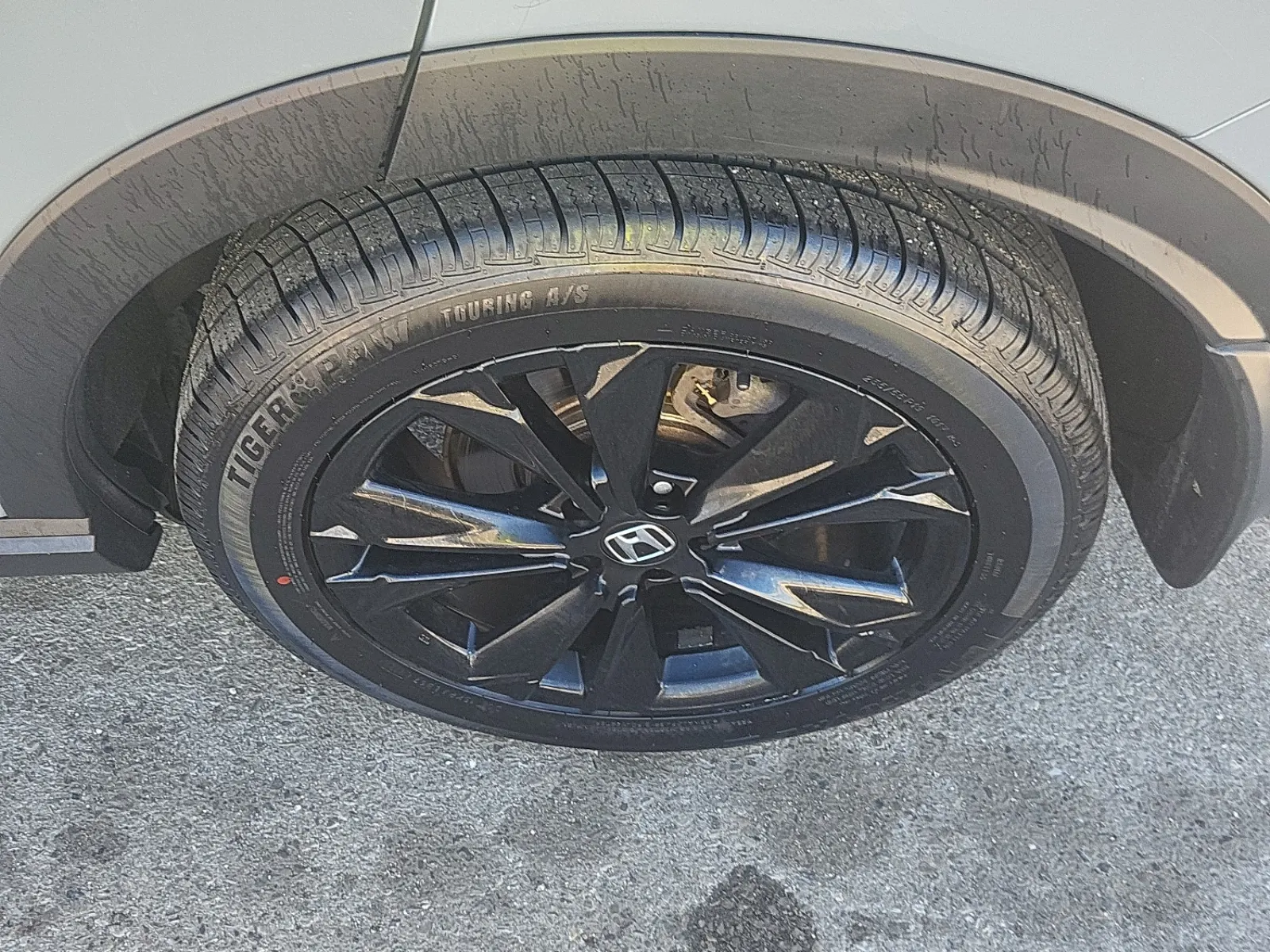 Left Rear Wheel/Tire Photo