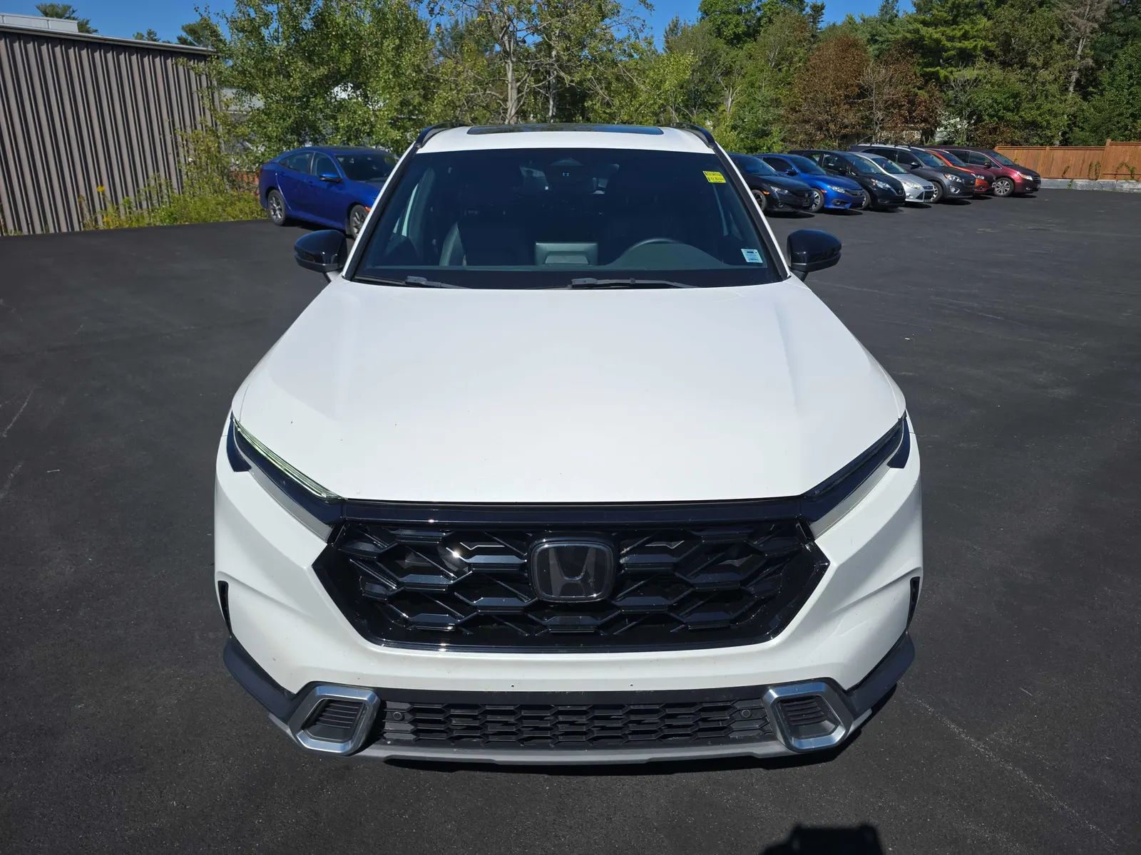 3/4 Front (Main image)