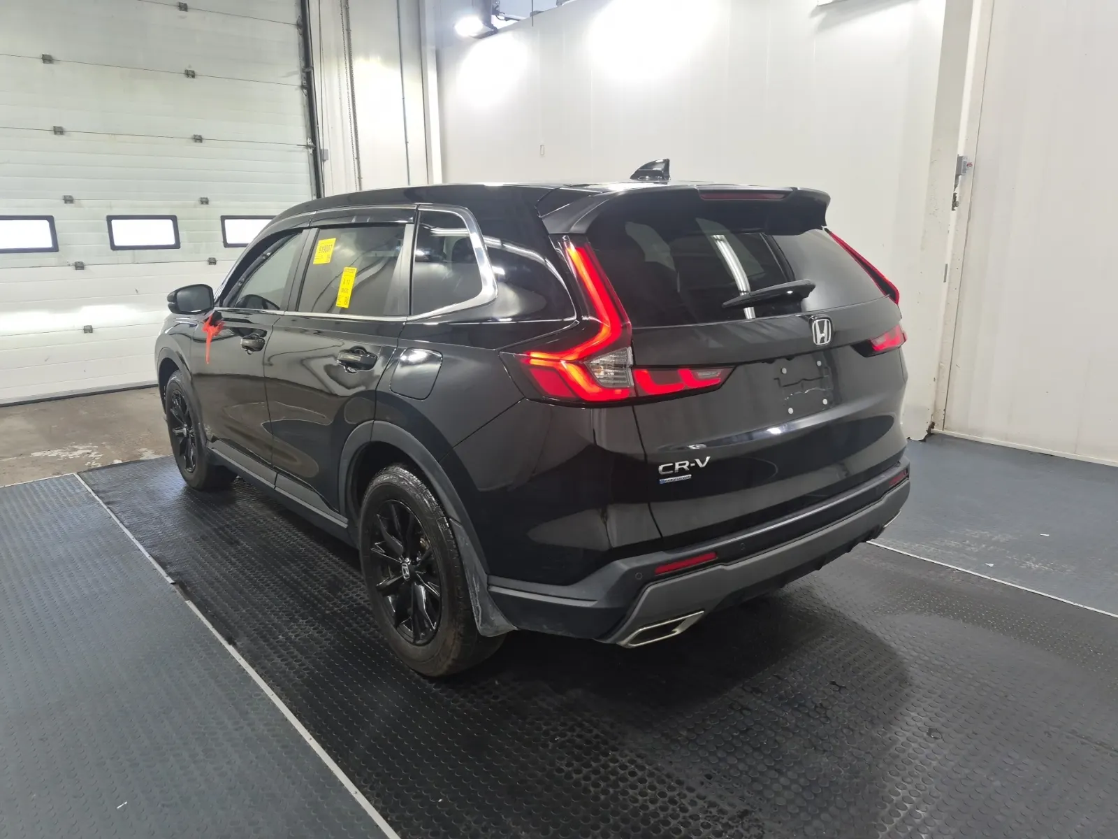 Driver Rear 3/4 Photo