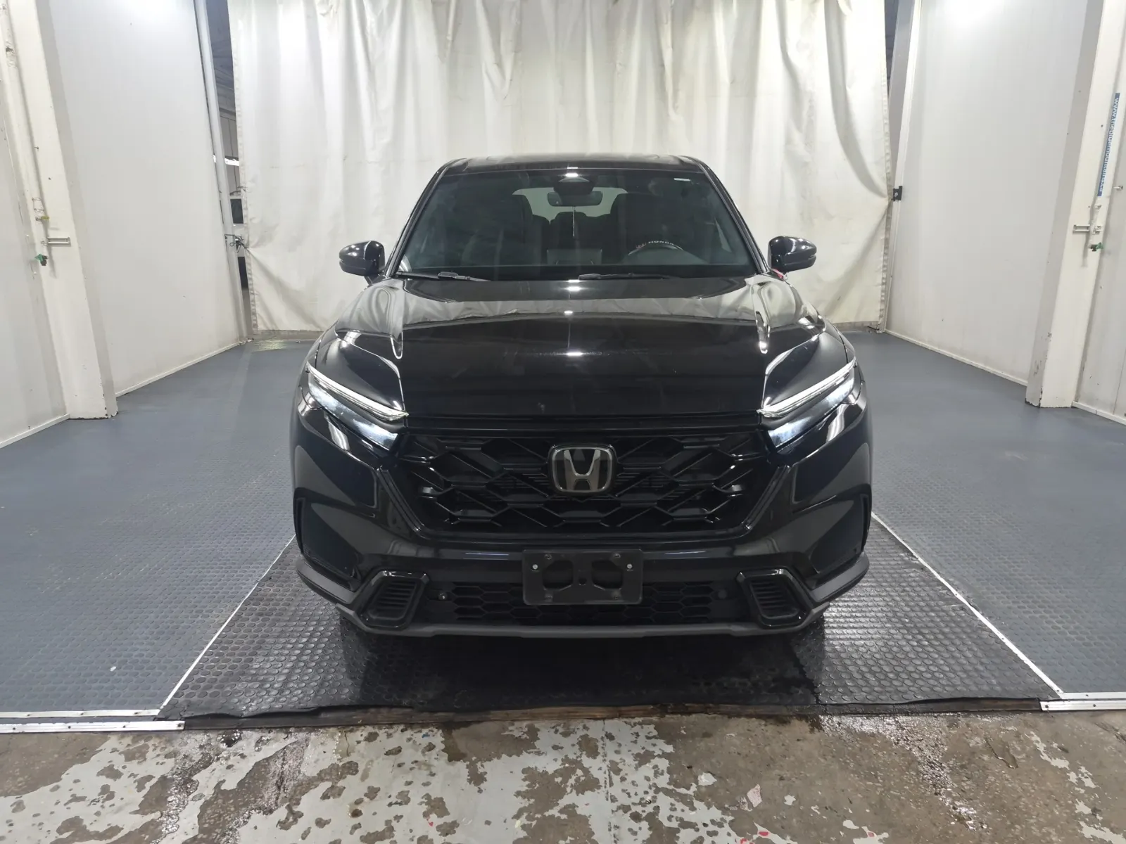Full Front Photo
