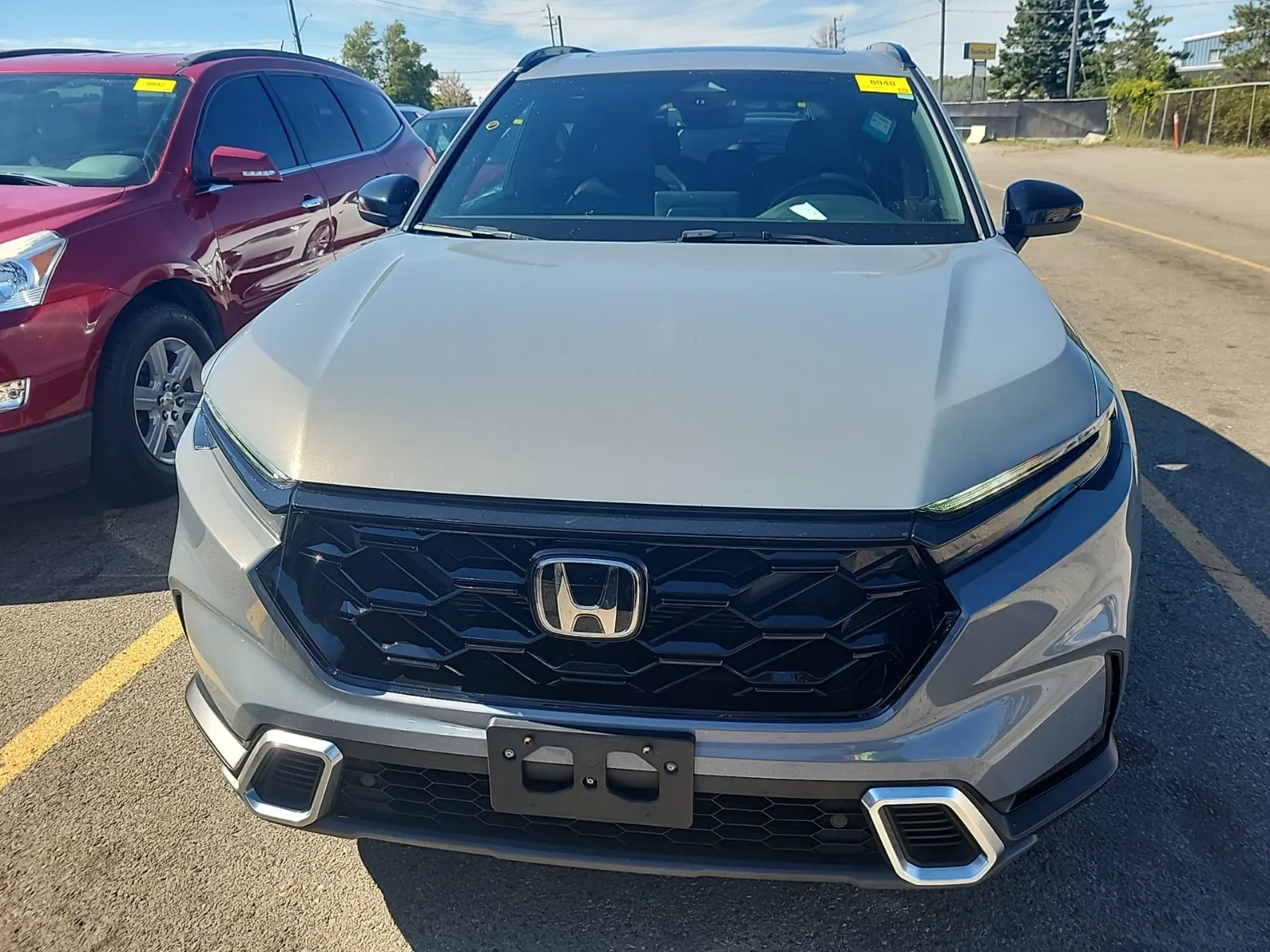 Full Front Photo