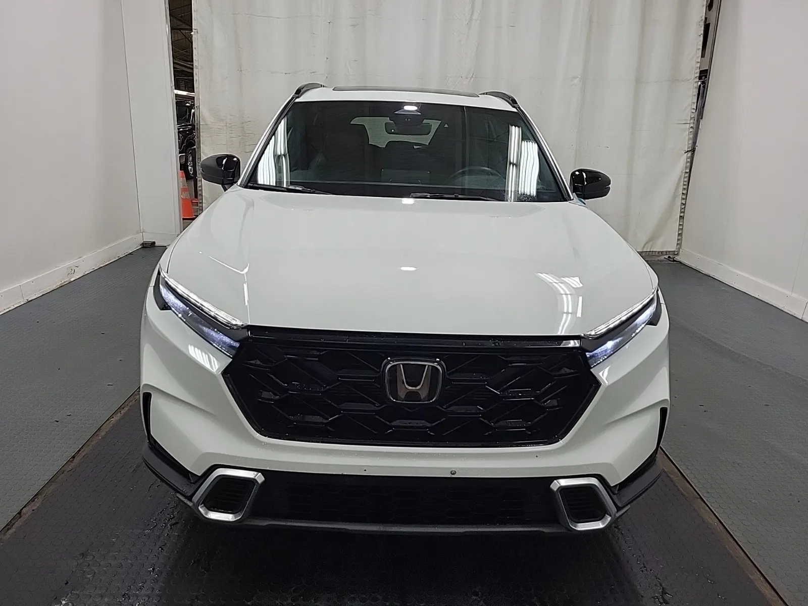 Full Front Photo
