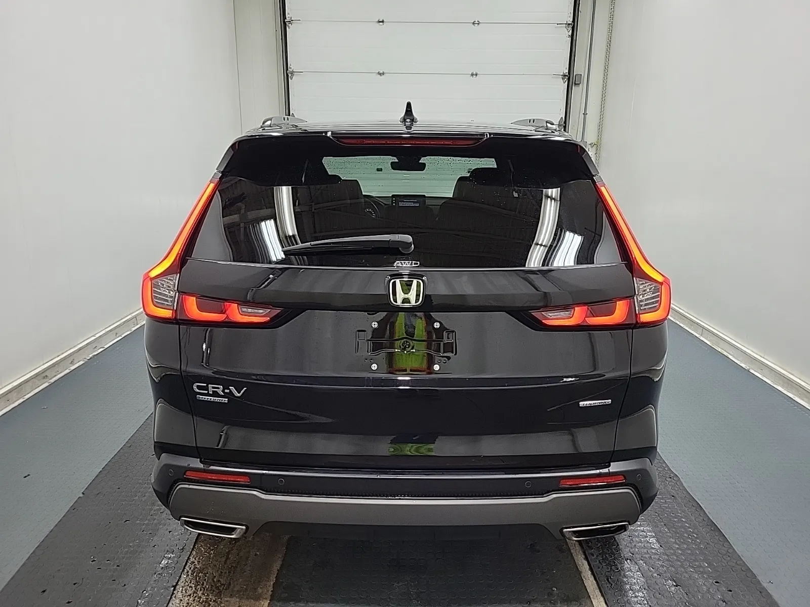 Full Rear Photo
