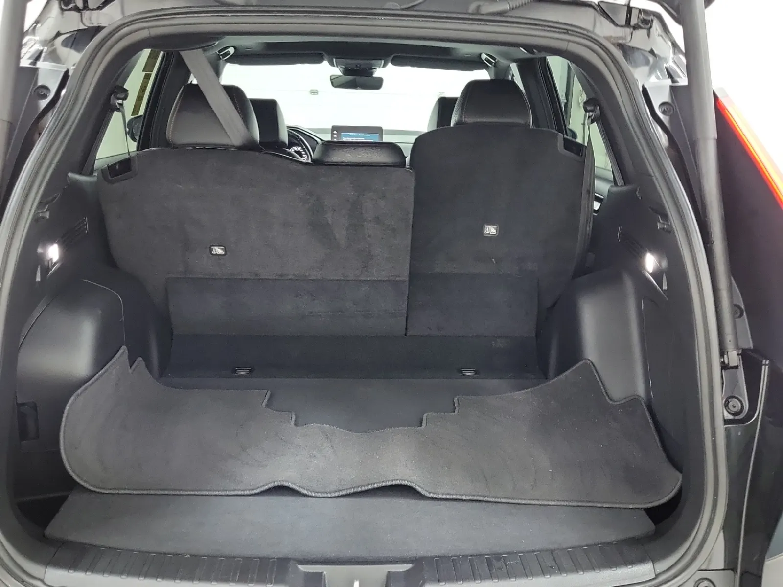Cargo Area Photo