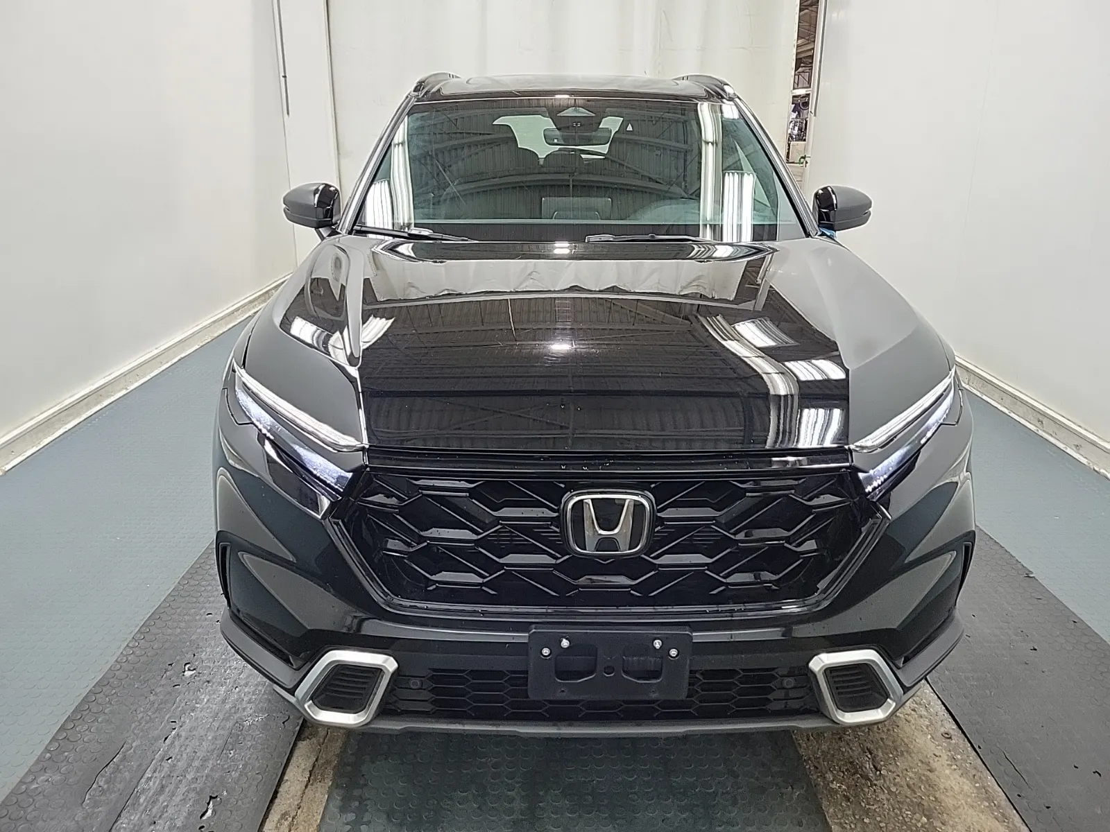 Full Front Photo