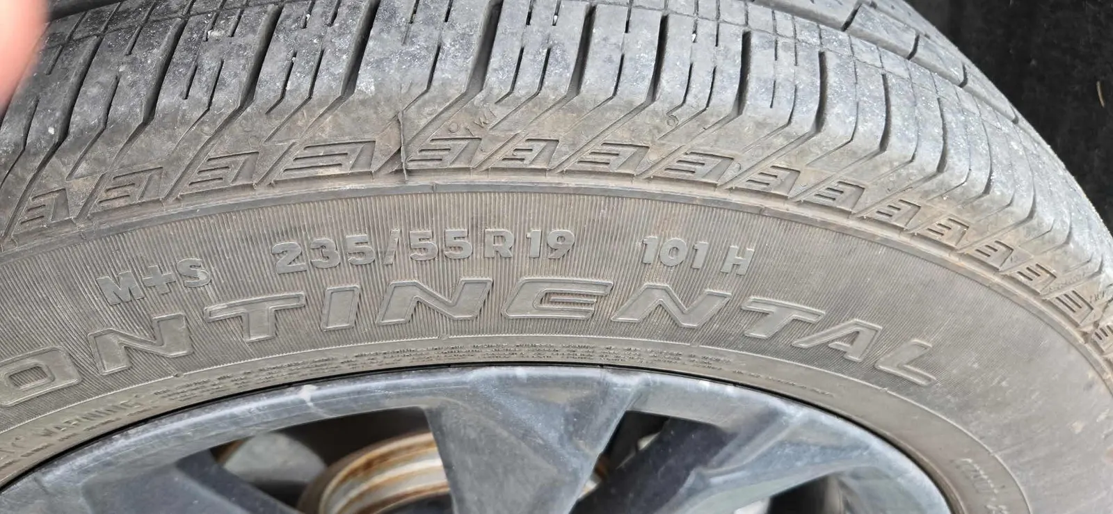 Tire