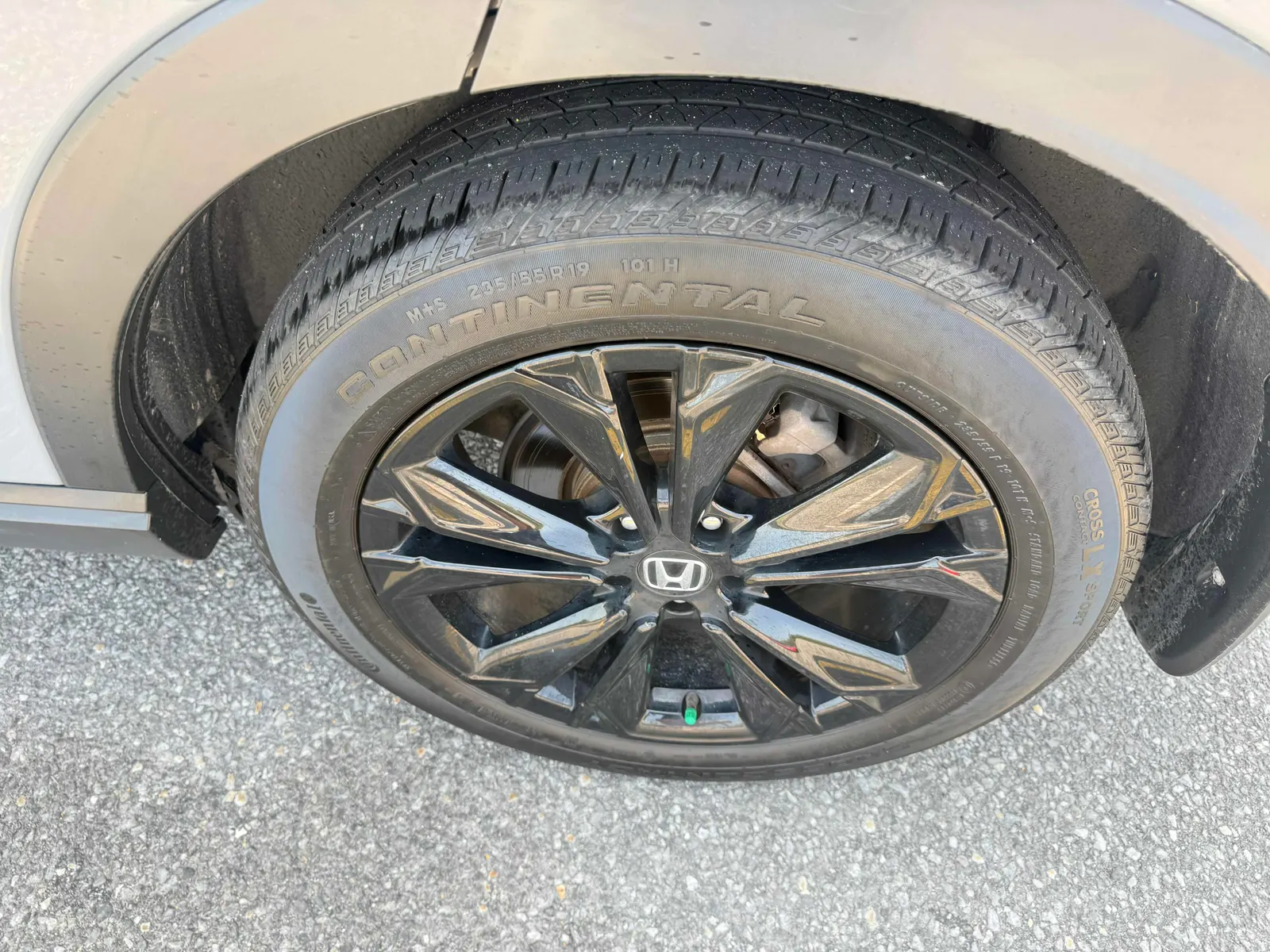 Additional Photo