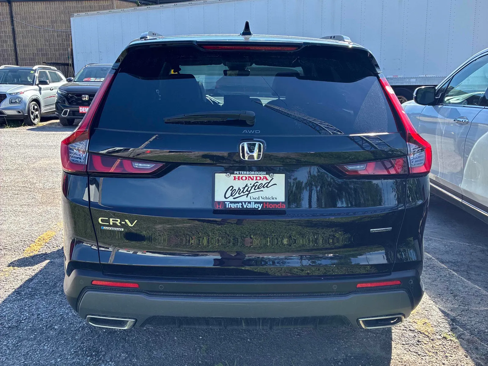 Back