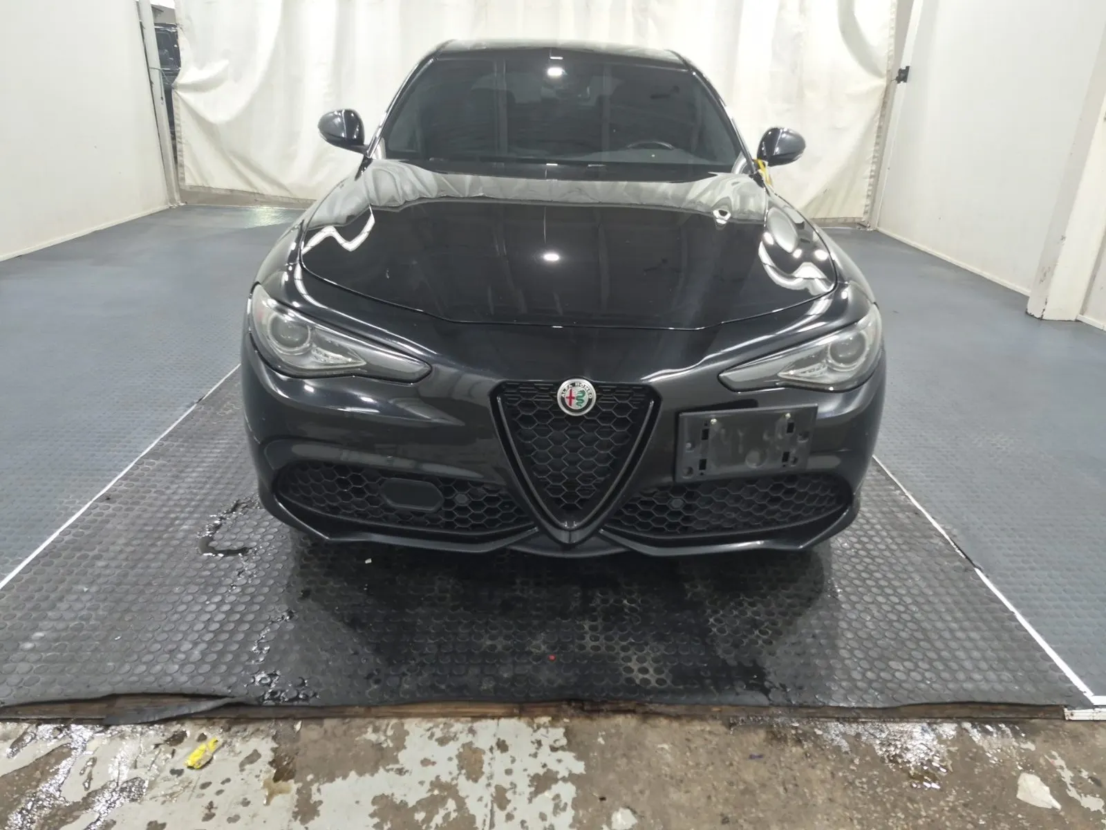 Full Front Photo