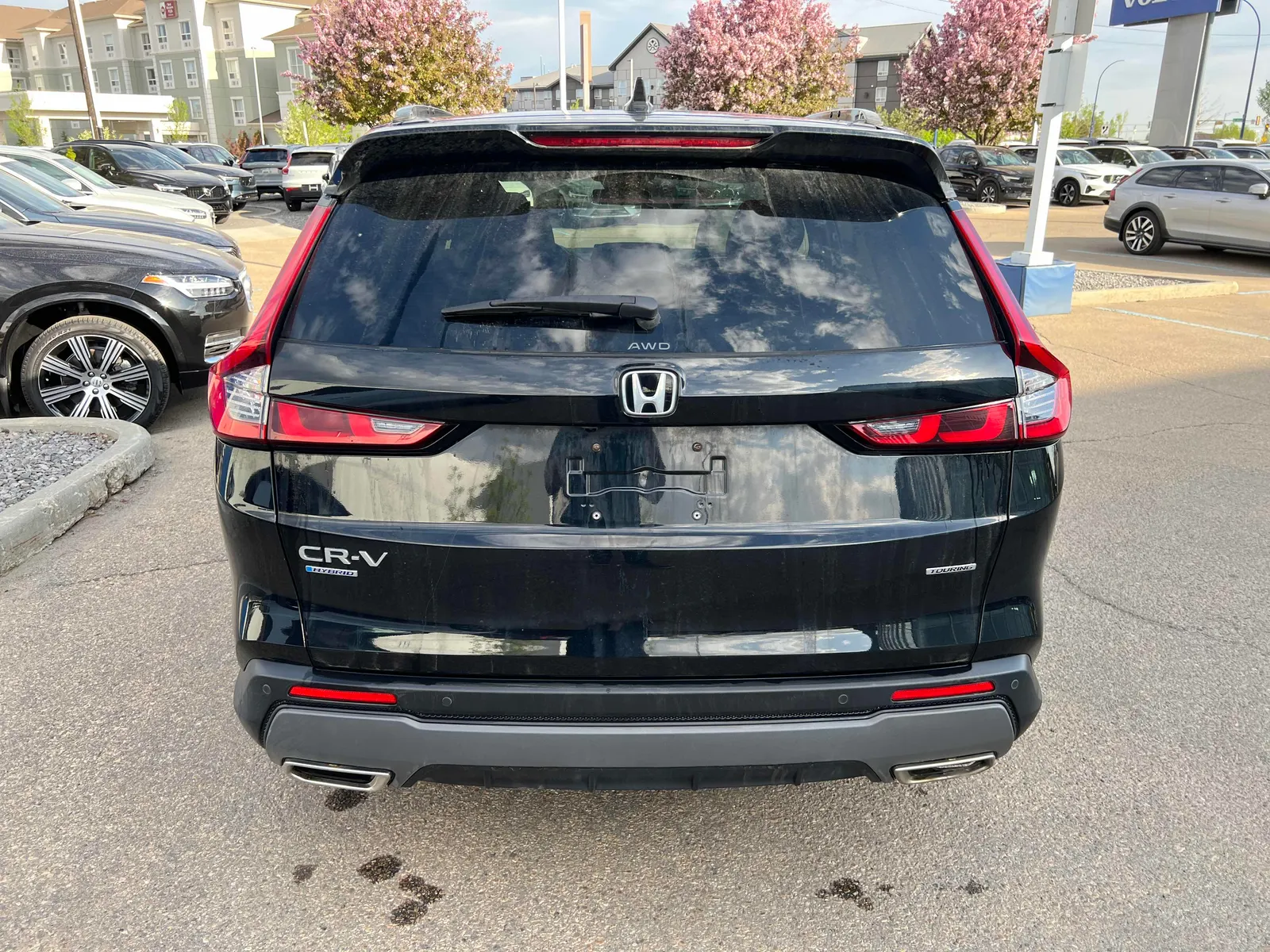 Back