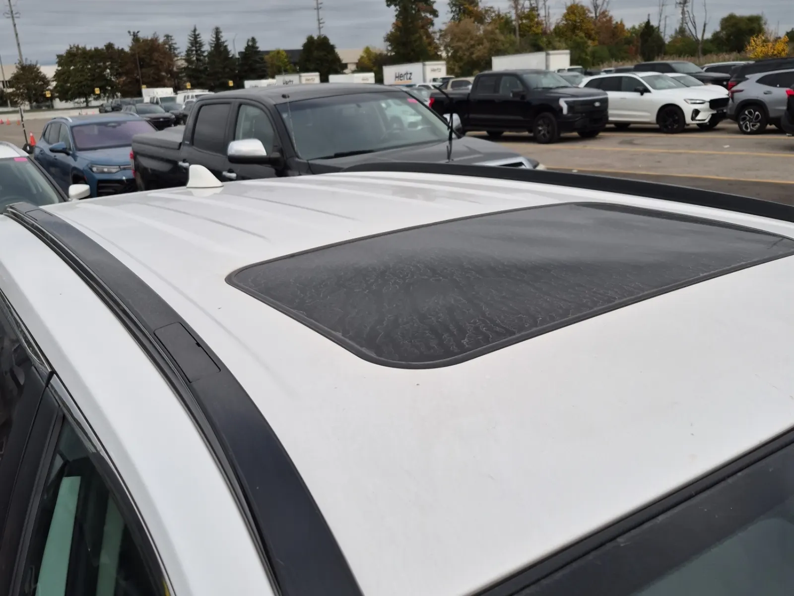 Exterior Roof Photo