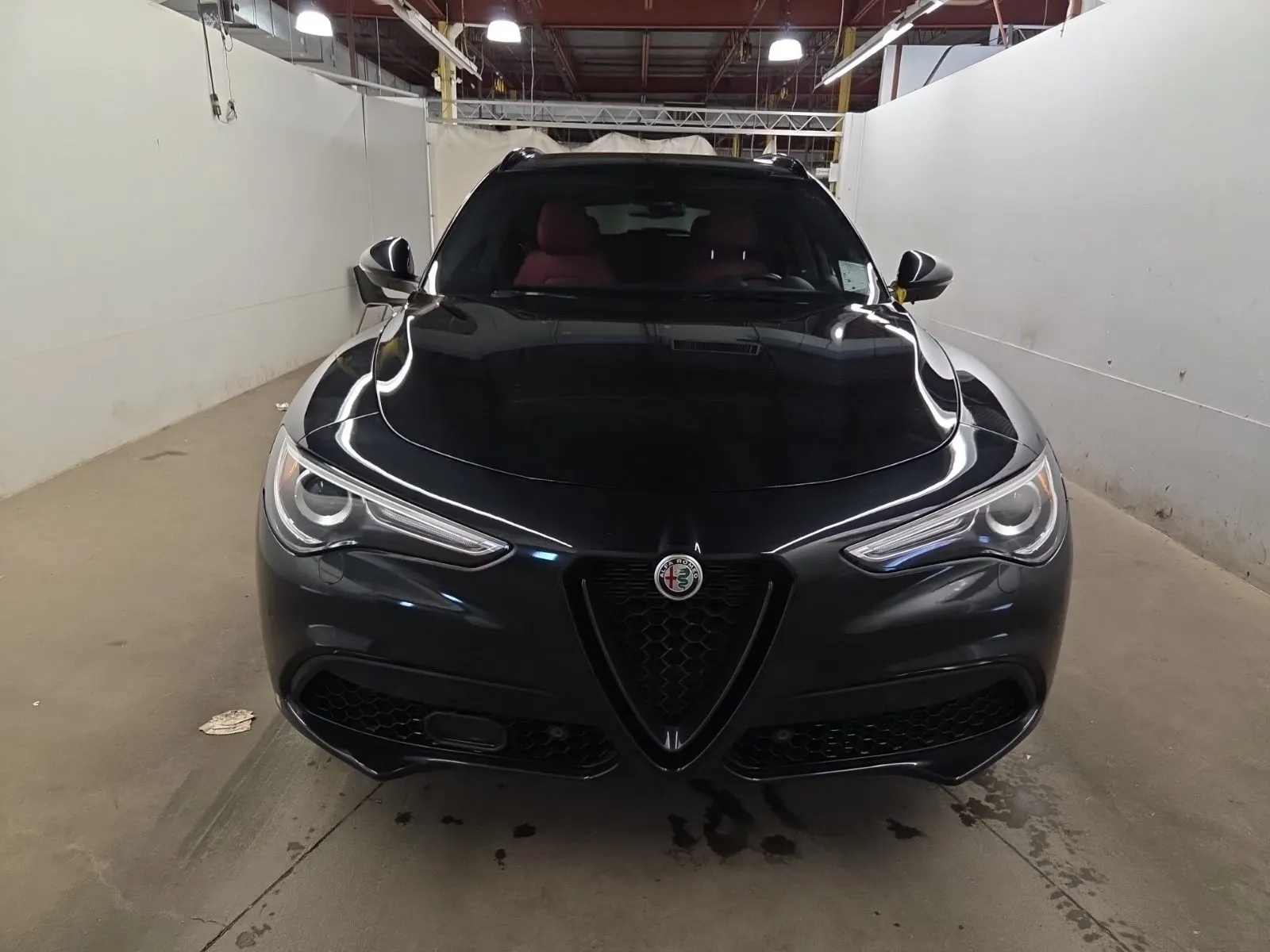 Full Front Photo