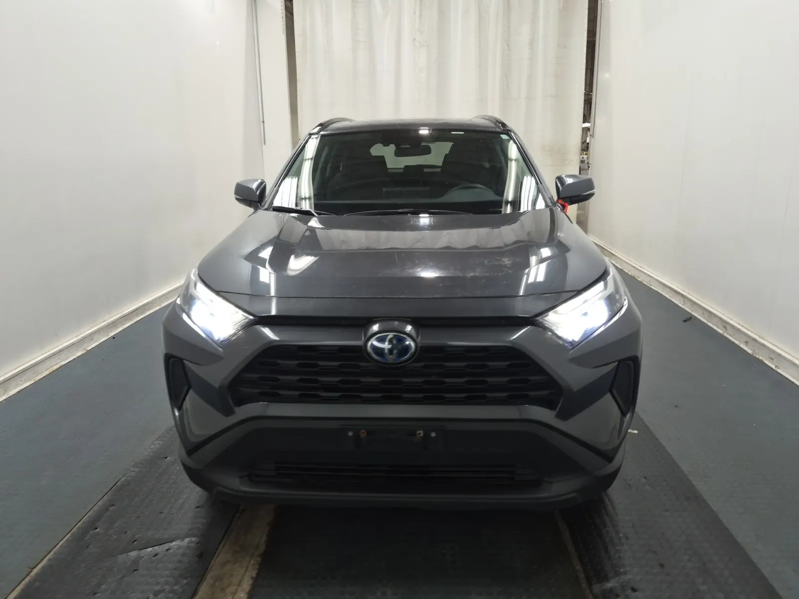Full Front Photo