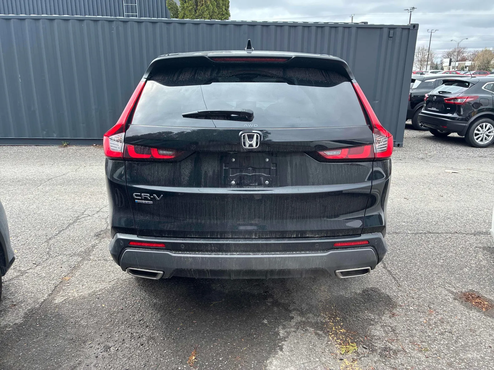 Back