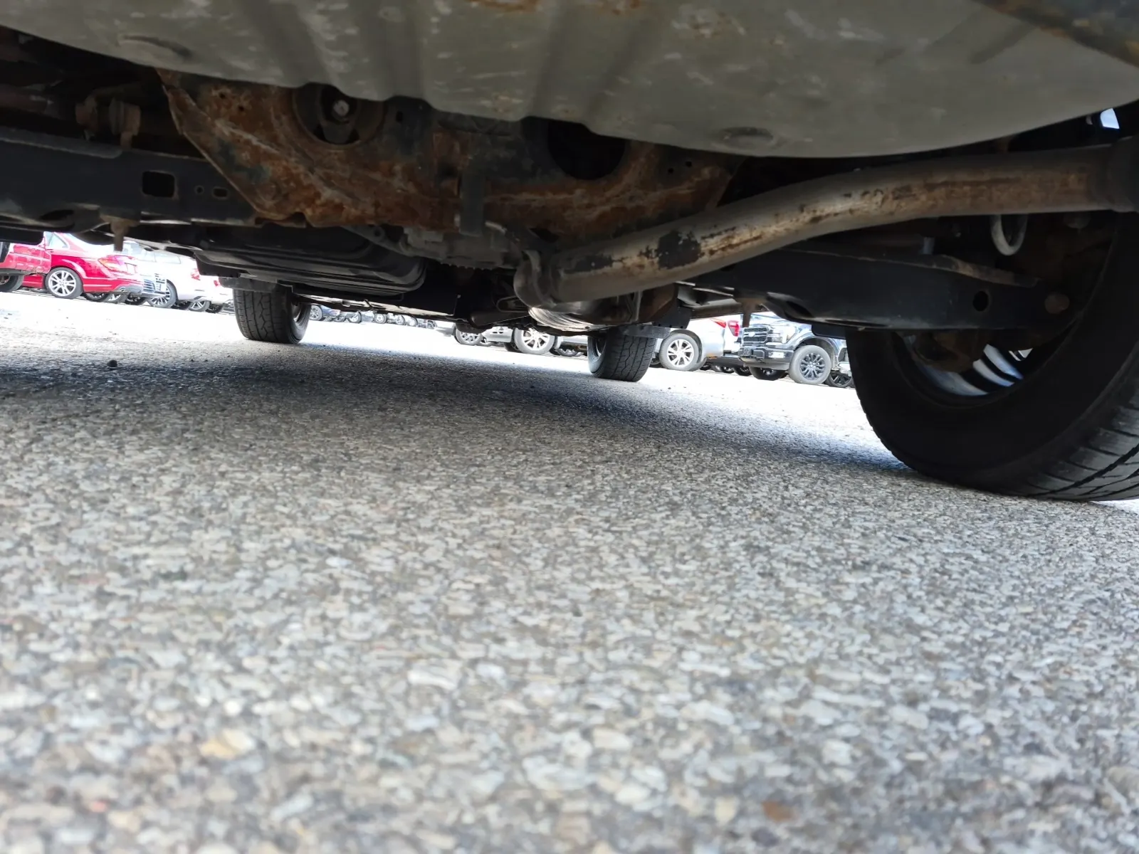 Undercarriage - Rear Photo