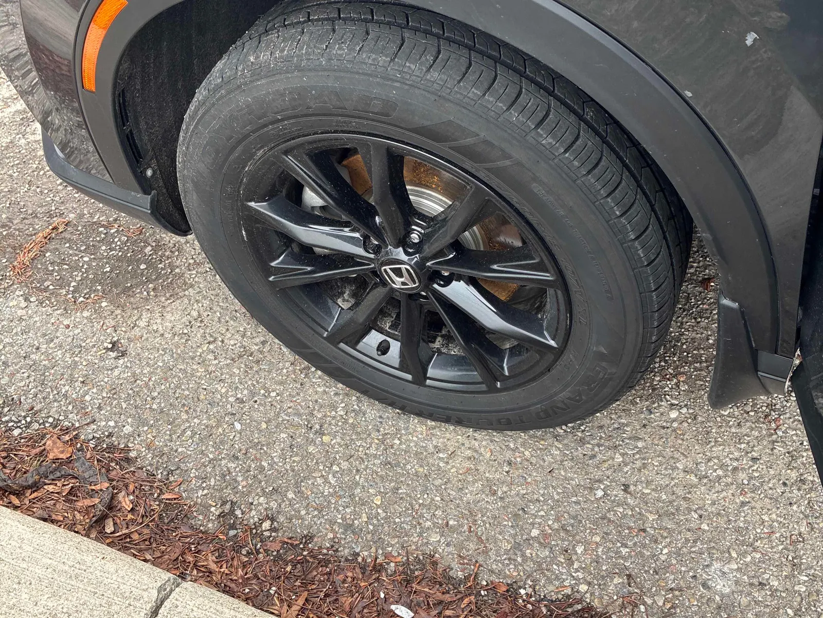 Additional Photo