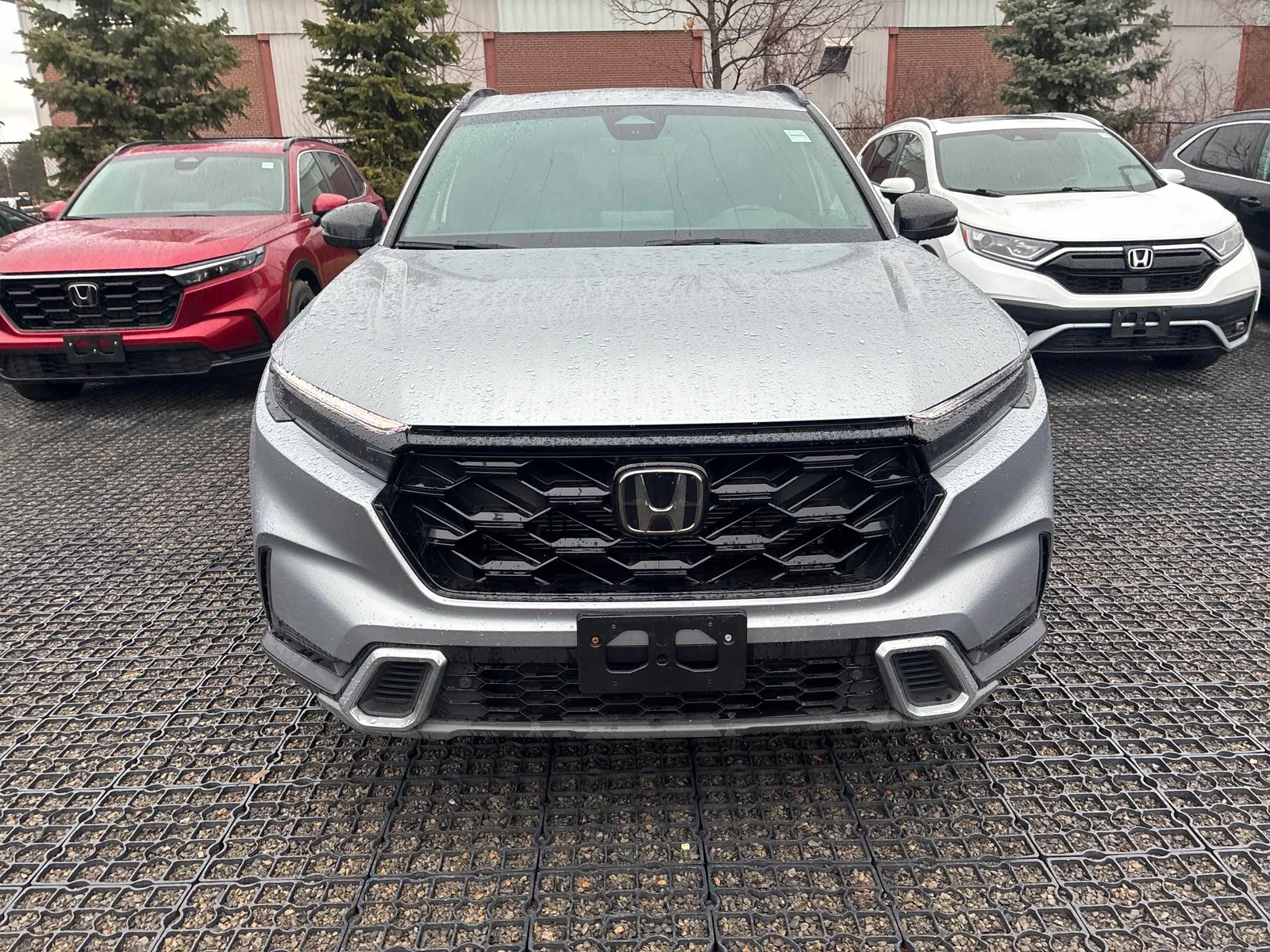 Front