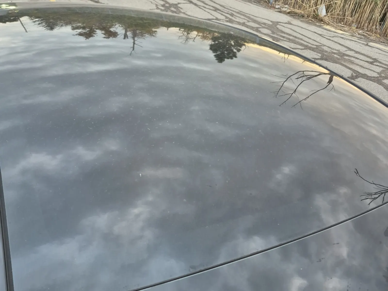 Exterior Roof Photo