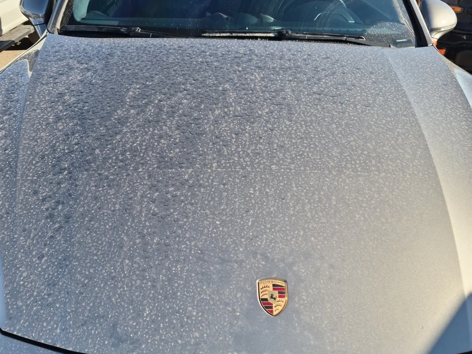 Emission Sticker Photo