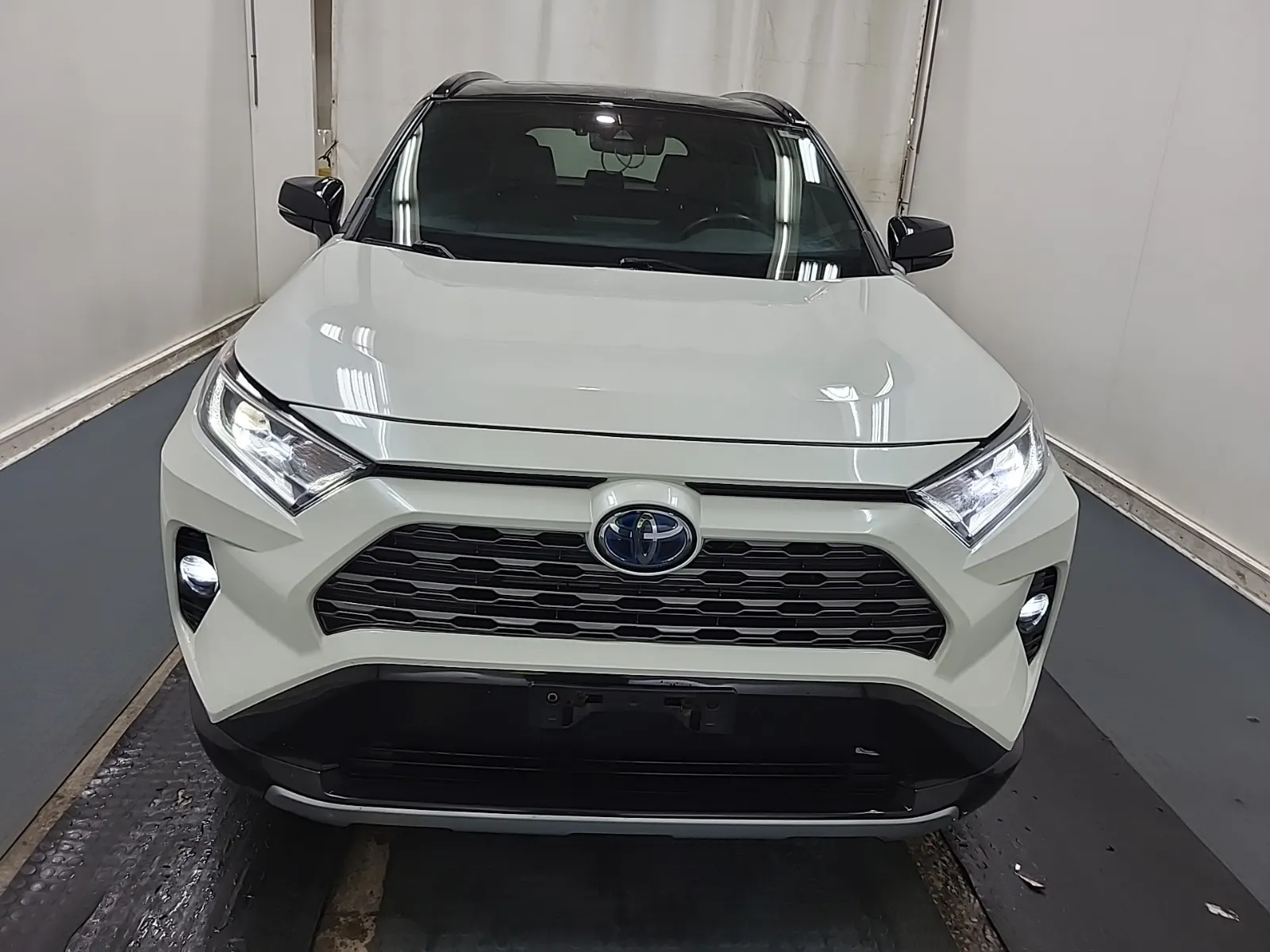 Full Front Photo