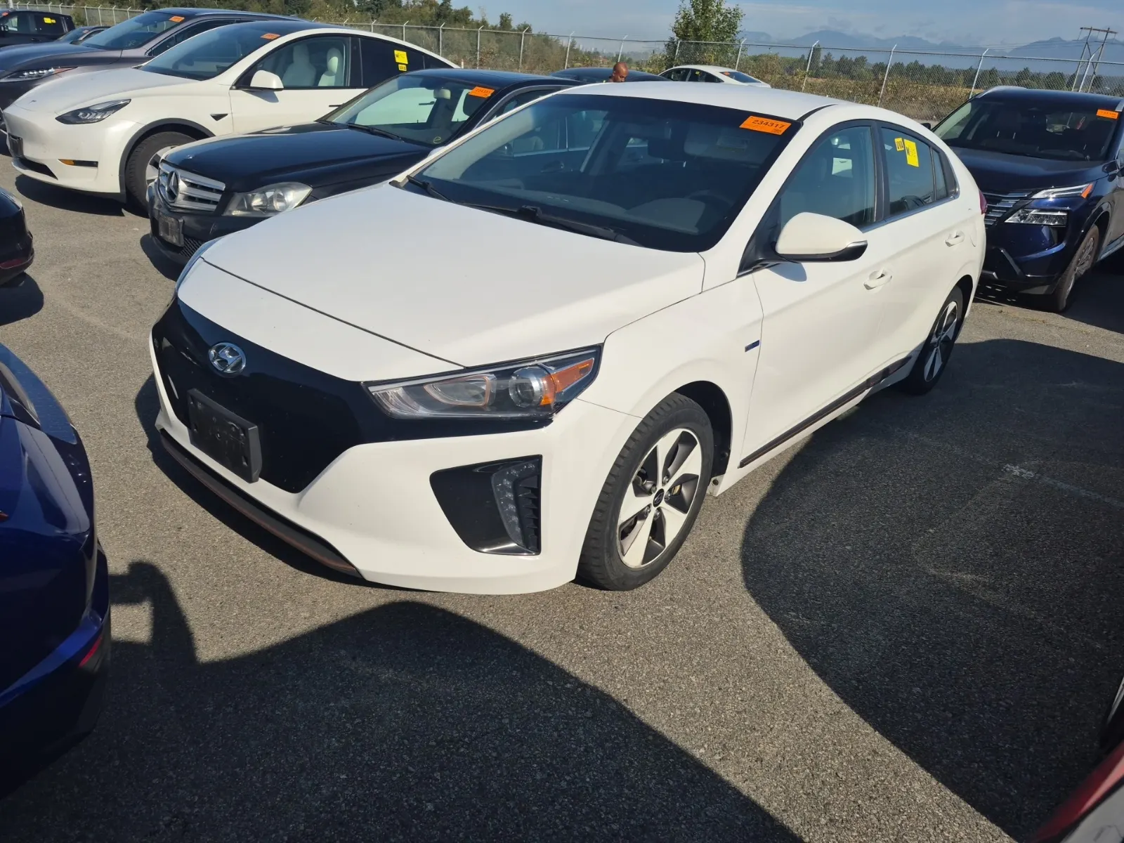 2019 Hyundai Ioniq Electric