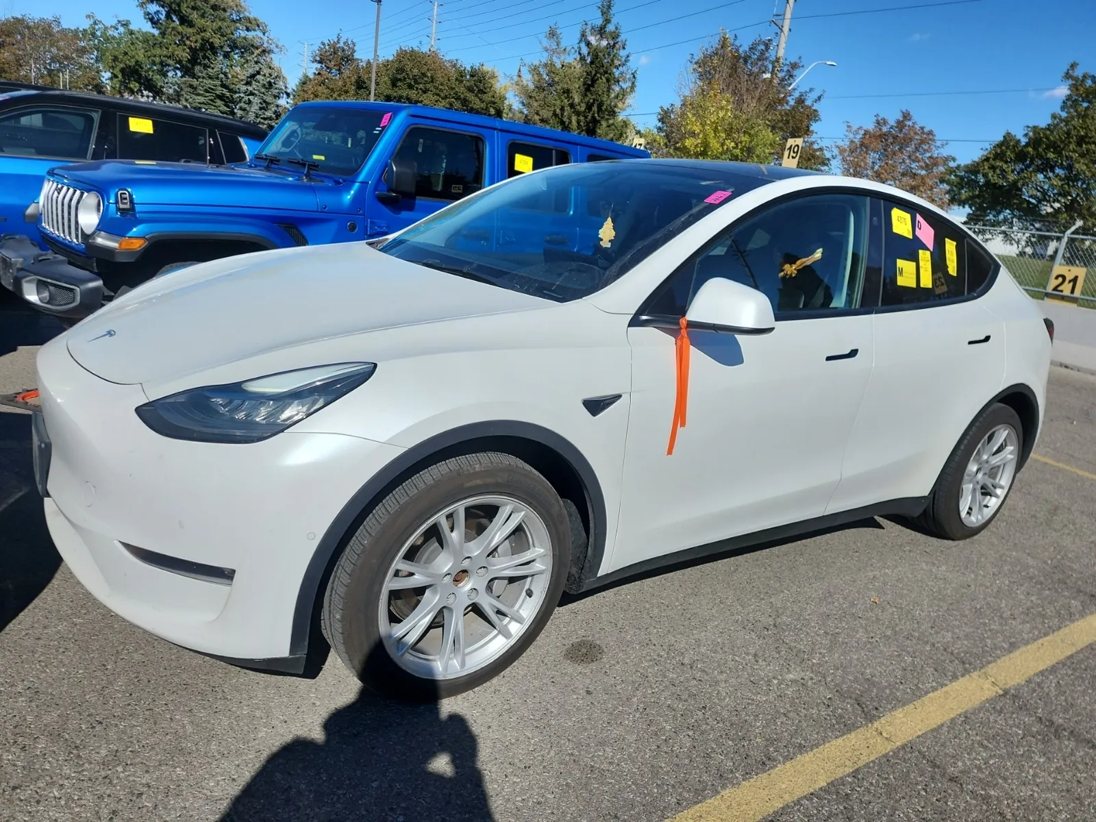 2021 Tesla Model Y