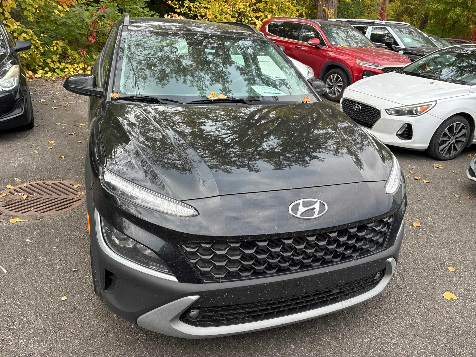Front