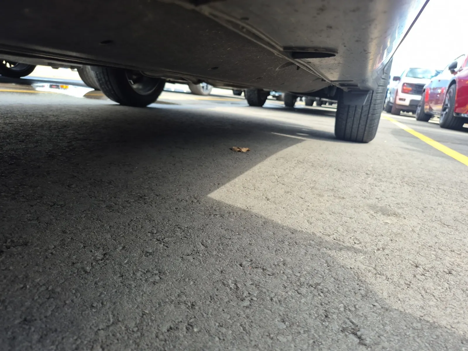 Undercarriage - Driver Photo