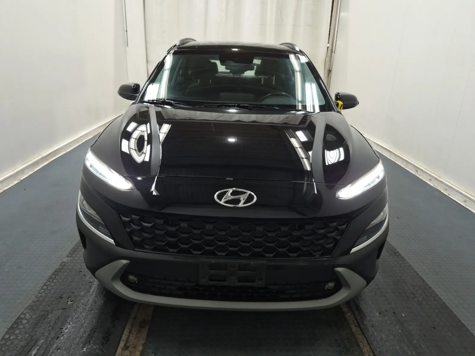 Full Front Photo